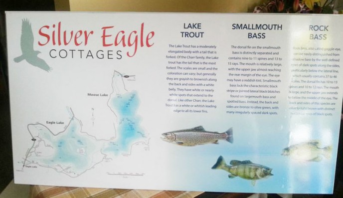 This is a printed sheet of vinyl, laminated and adhered to aluminum . UV and weatherproof for outdoors.