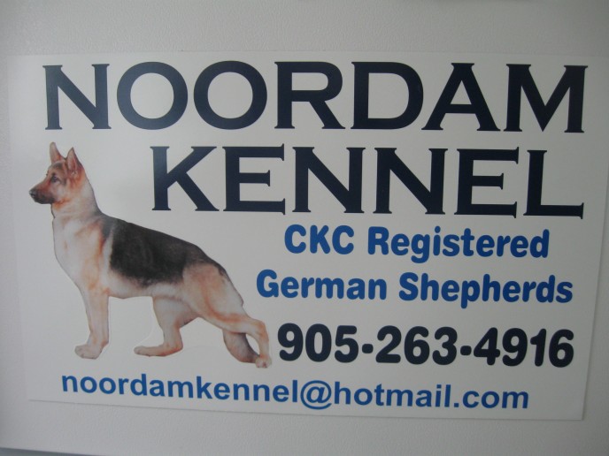 This client had me make up customized kennel forms in duplicates, professional pedigree certificates, vehicle magnets and lawn signs and has been very busy ever since!