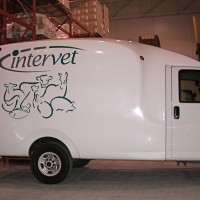 Quite often less is more when it comes to standing out - this clean look with vinyl on van is really attractive.
